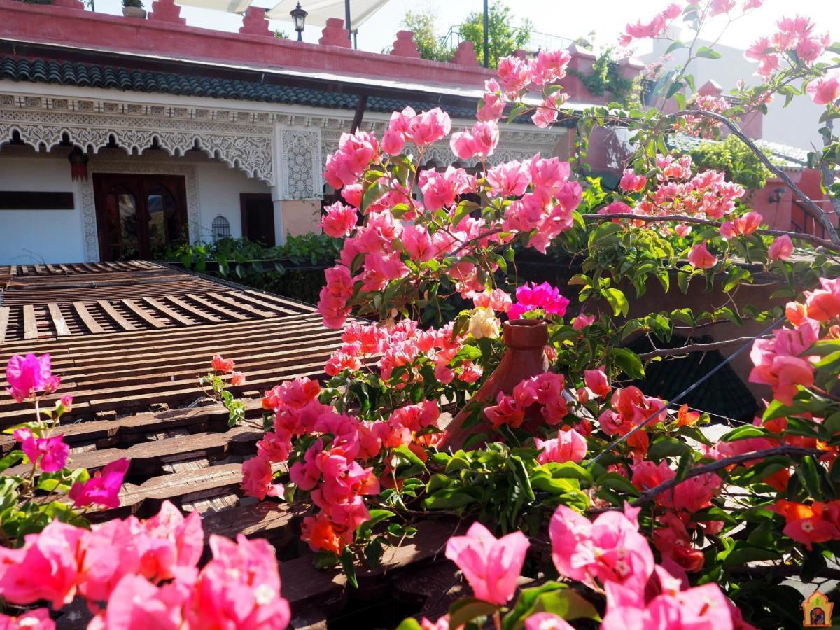 Riad Toyour- Riad Of Birds Fez Exterior foto