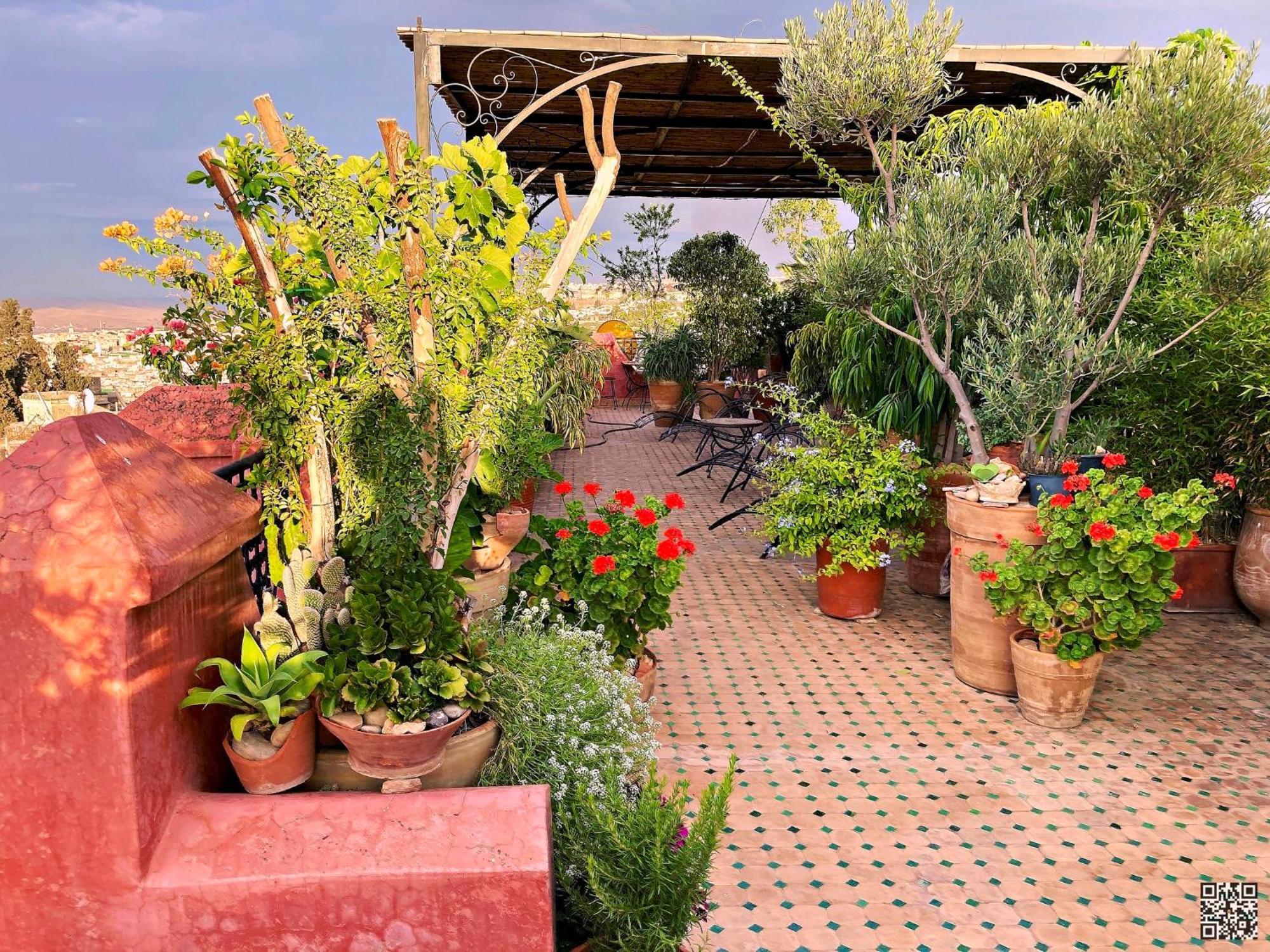 Riad Toyour- Riad Of Birds Fez Exterior foto