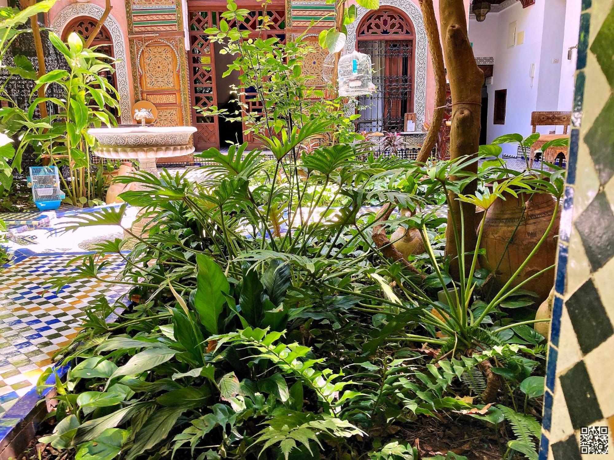 Riad Toyour- Riad Of Birds Fez Exterior foto