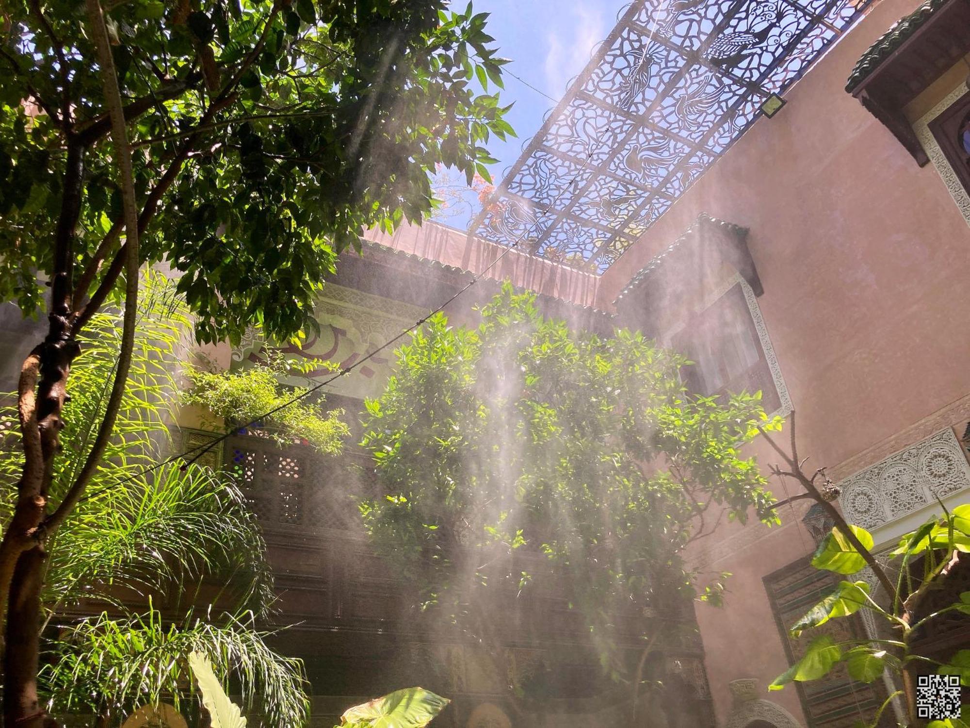 Riad Toyour- Riad Of Birds Fez Exterior foto