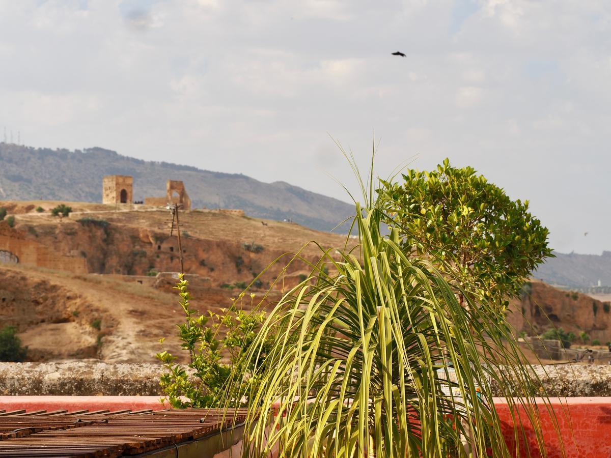 Riad Toyour- Riad Of Birds Fez Exterior foto